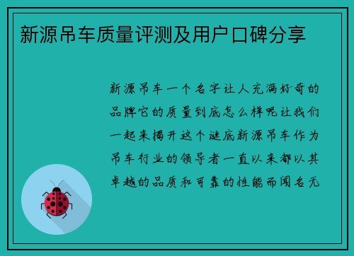 新源吊车质量评测及用户口碑分享