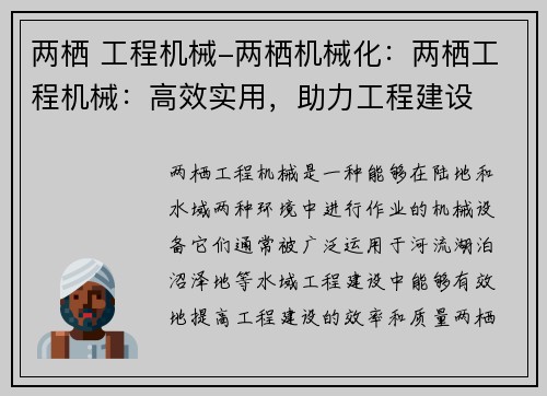 两栖 工程机械-两栖机械化：两栖工程机械：高效实用，助力工程建设